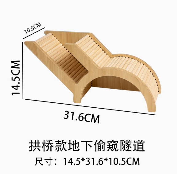 原木地下偷窺隧道-拱橋款