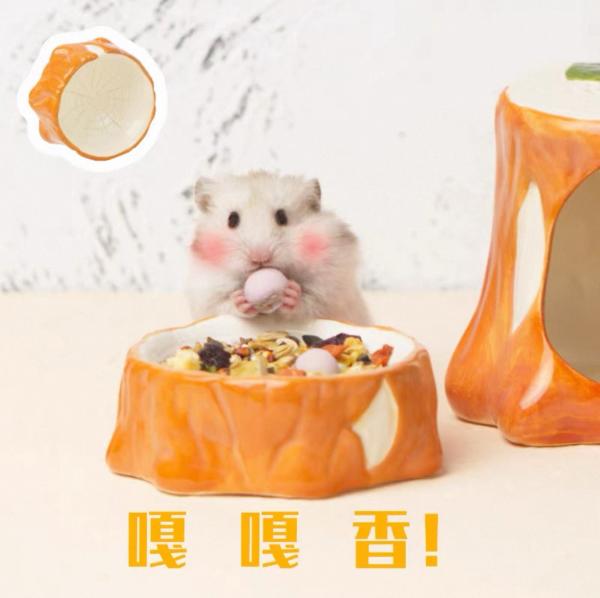樹根食盆