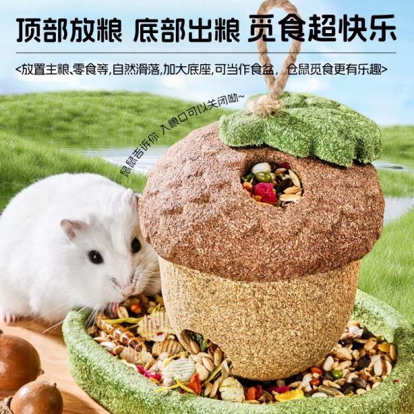 磨牙植造系列-榛果屋