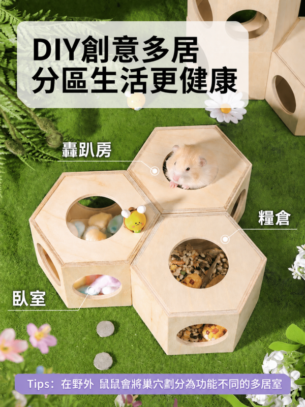 carno蜂巢躲避屋-3入組合