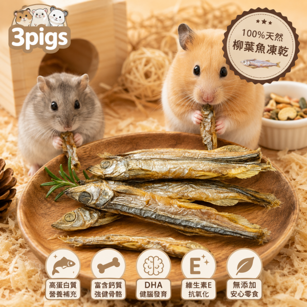 天然柳葉魚凍乾