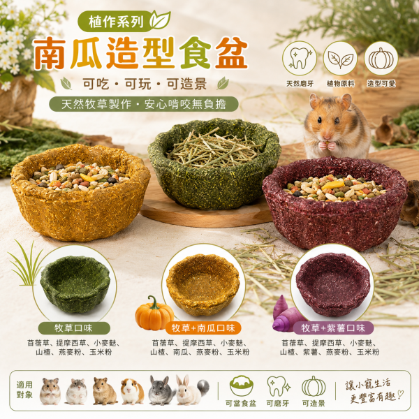 【植造系列】南瓜造型食盆(特價79)