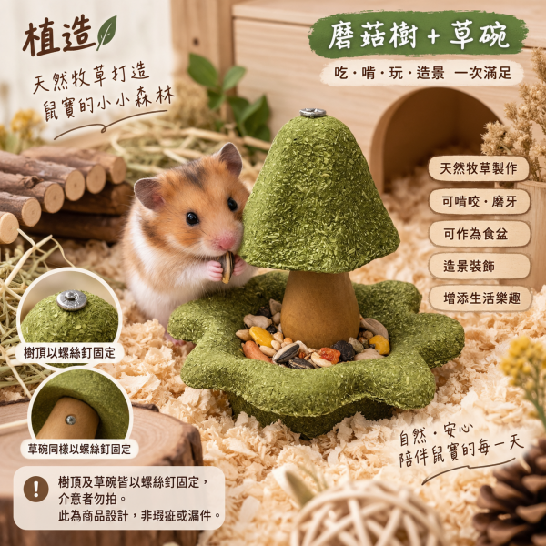 植造-天然牧草食盆