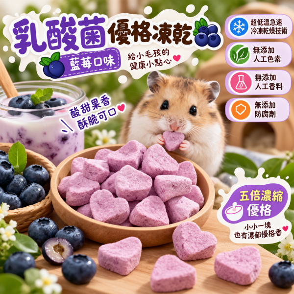乳酸菌優格凍乾5g-藍莓