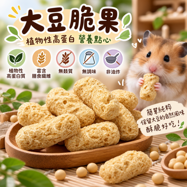 大豆脆果｜植物性高蛋白營養點心10g