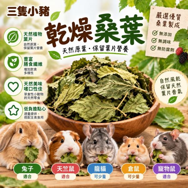 乾燥桑葉40g｜小動物天然草本零食