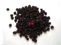 Minishow小動物藍梅果乾-30g
