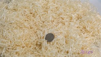 TAPVEI實驗室白楊木巢料3kg-(我不是分裝)