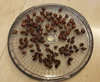天然手工低溫烘培葡萄乾-20g