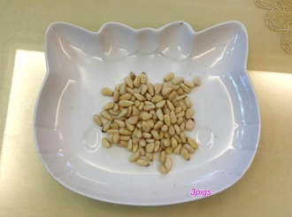 Minishow生機松子-35g