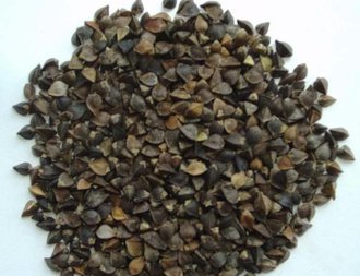 Minishow帶殼(黑)蕎麥-100g