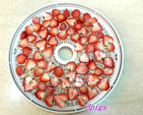 手工限定-低溫烘烤草莓乾-5g