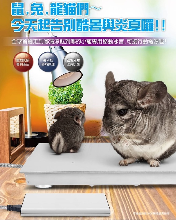 小型寵物專用冰涼墊(鼠/兔/龍貓/天竺鼠可)