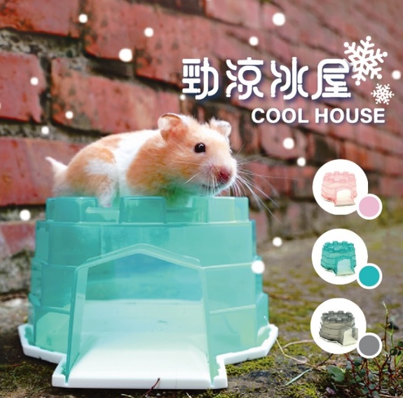 愛思沛 Acepet 752-NC 勁涼冰屋-綠/粉/黑 隨機出色