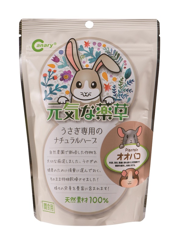 Canary 上山採藥輔助食品-車前草42g(咖)