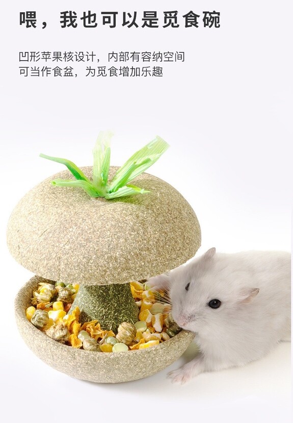 Carno 牛頓的蘋果核造型- 磨牙玩具110g