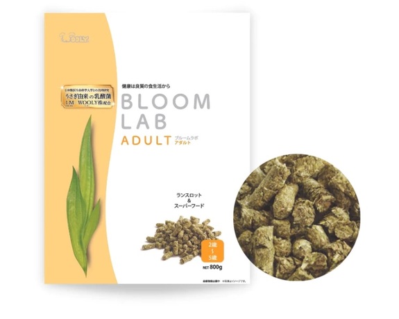 Wooly 花開LAB 成兔飼料(2-5歲) 800g(原包裝)-黃色