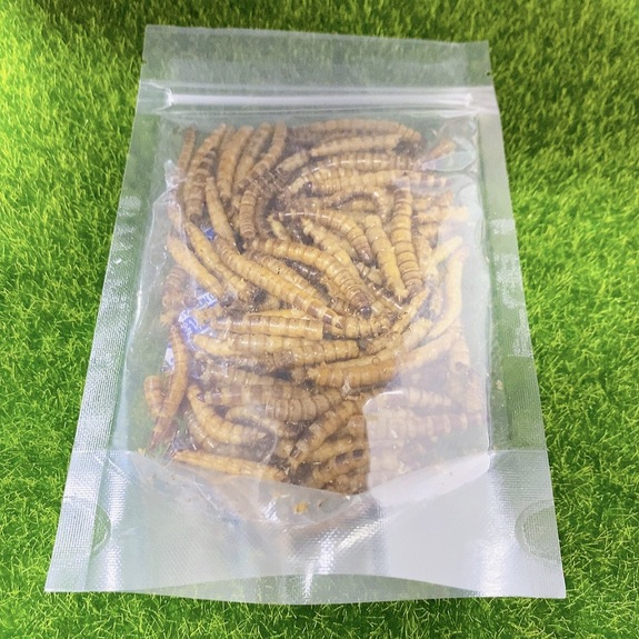 Minishow黃金大麥蟲乾20g 