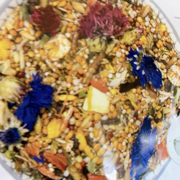 德國邦尼®夢想倉鼠飼料 無糖花卉配方50g(分裝包)